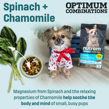 Load image into Gallery viewer, Nutram Total Grain-Free® Trout & Salmon Small & Toy Breed All Stages Dog Food