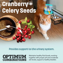 Load image into Gallery viewer, Nutram Ideal Solution Support® Skin, Coat &. Stomach Cat Food