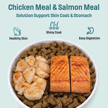 Load image into Gallery viewer, Nutram Ideal Solution Support® Skin, Coat &. Stomach Cat Food