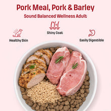 Load image into Gallery viewer, Nutram Sound Balanced Wellness® Adult Pork Dog Food