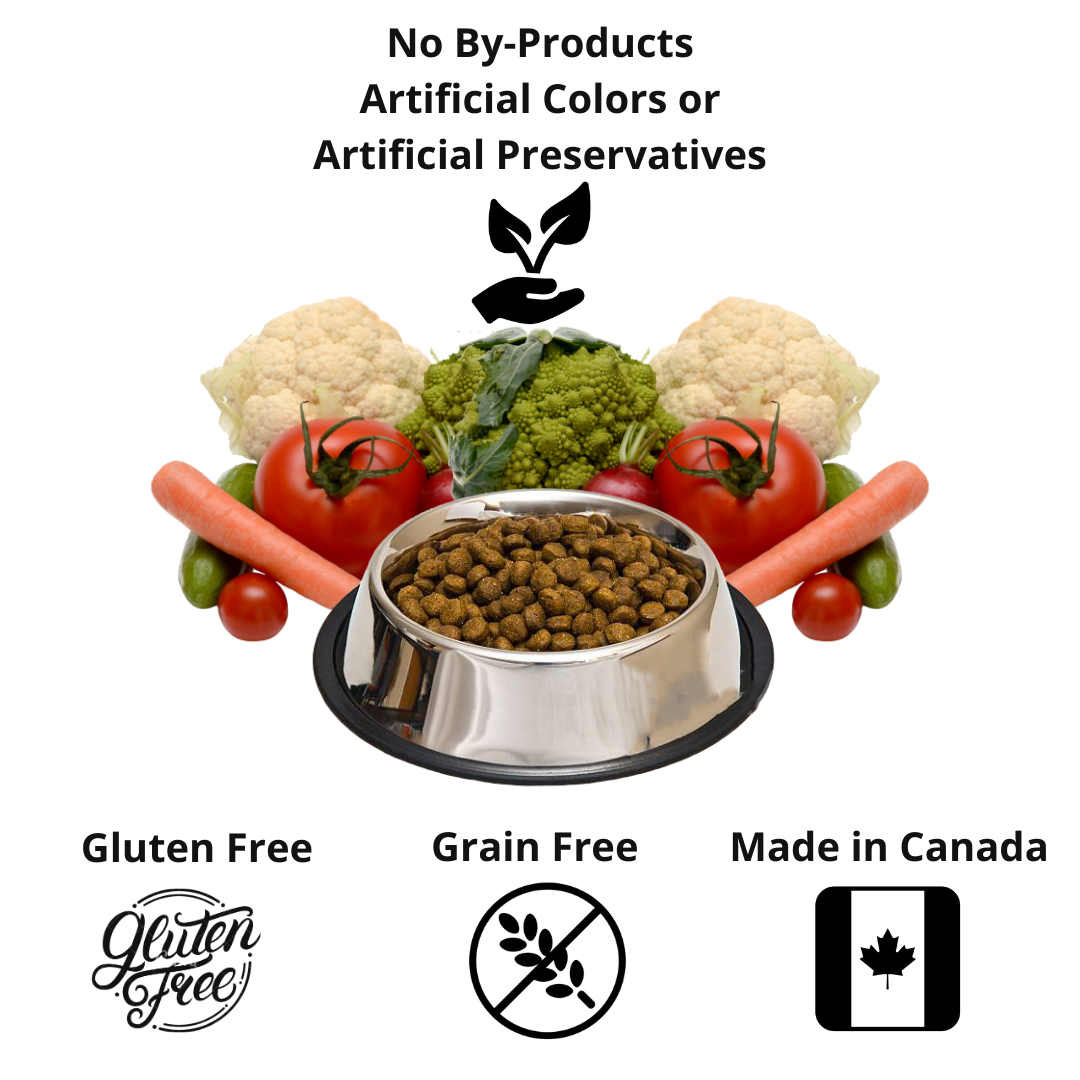 Advantages of grain sales free dog food