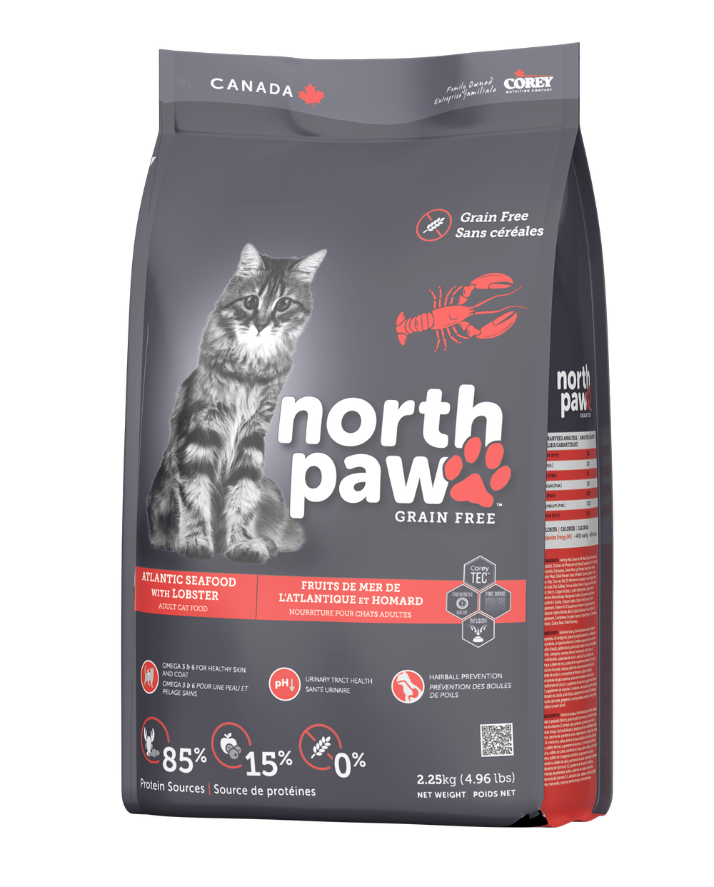 Dog food free clearance shipping