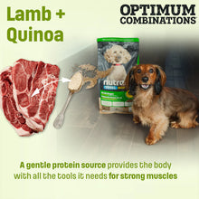 Load image into Gallery viewer, Nutram Total Grain-Free® Lamb and Lentils Small &amp; Toy Breed All Stages Dog Food
