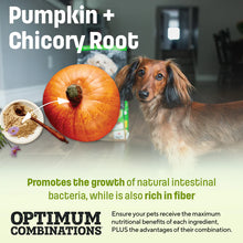 Load image into Gallery viewer, Nutram Total Grain-Free® Lamb and Lentils Small &amp; Toy Breed All Stages Dog Food
