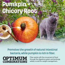 Load image into Gallery viewer, Nutram Ideal Solution Support® Weight Control Cat Food
