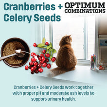 Load image into Gallery viewer, Nutram Ideal Solution Support® Weight Control Cat Food
