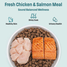 Load image into Gallery viewer, Nutram Sound Balanced Wellness® Adult and Senior Cat Food
