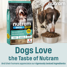 Load image into Gallery viewer, Nutram Ideal Solution Support® Skin, Coat and Stomach Lamb Dog Food
