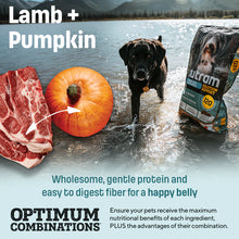 Load image into Gallery viewer, Nutram Ideal Solution Support® Skin, Coat and Stomach Lamb Dog Food

