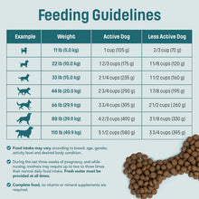 Load image into Gallery viewer, Nutram Ideal Solution Support® Skin, Coat and Stomach Lamb Dog Food
